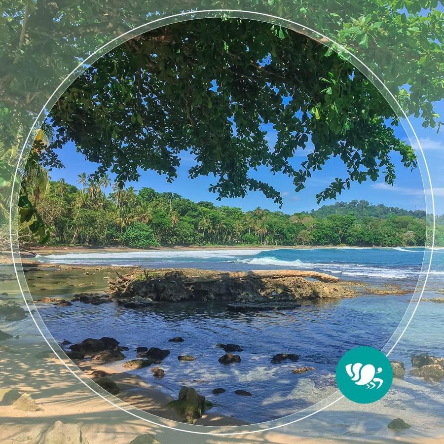 Villas Del Caribe Puerto Viejo de Talamanca Esterno foto