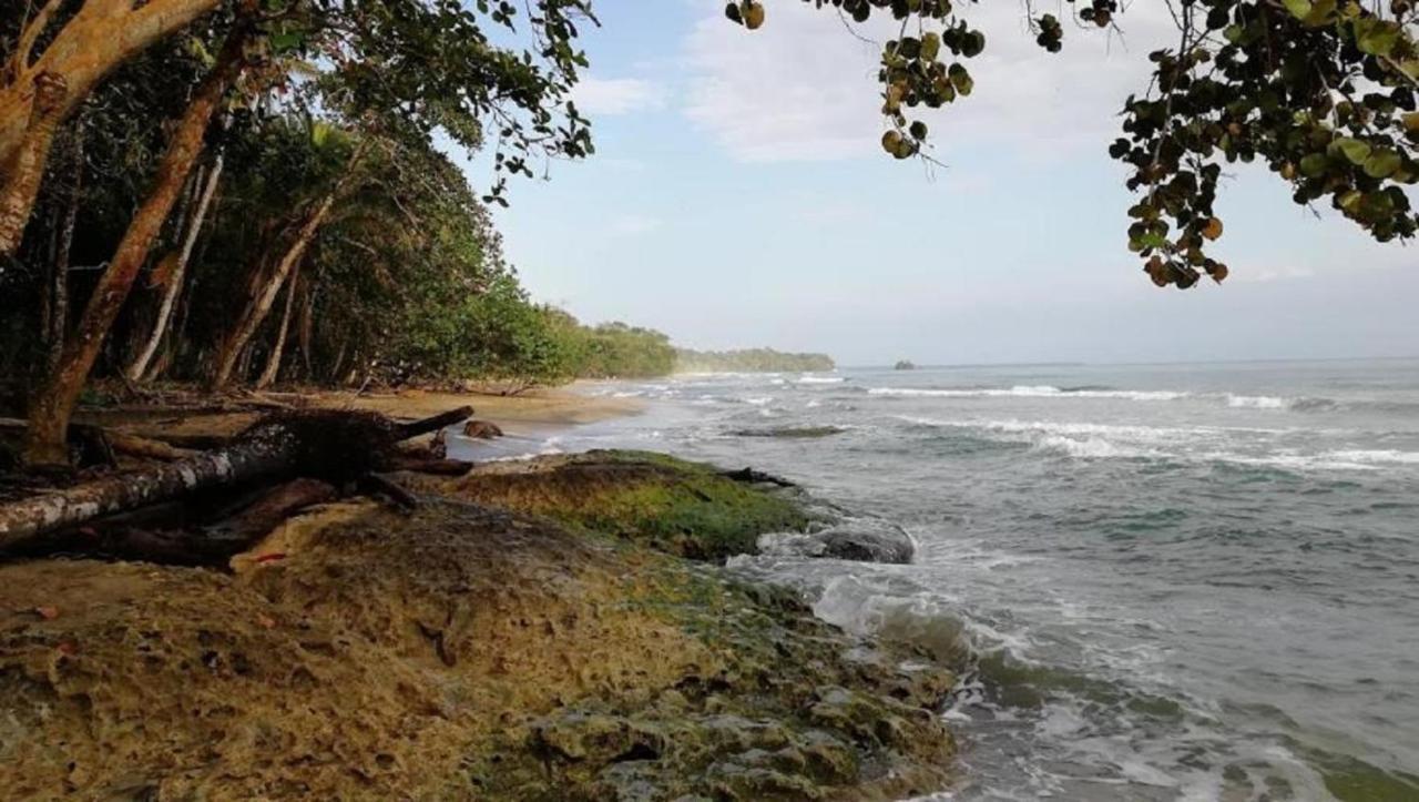 Villas Del Caribe Puerto Viejo de Talamanca Esterno foto